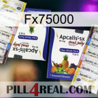 Fx75000 12